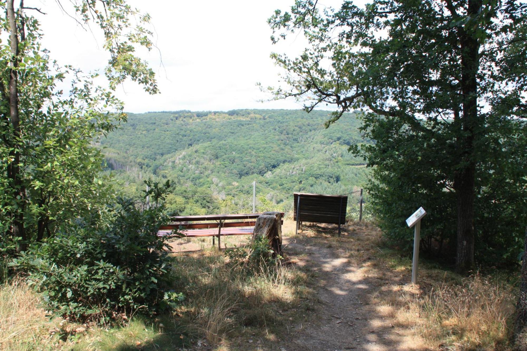 דירות Liesenich Haus Buchholz מראה חיצוני תמונה